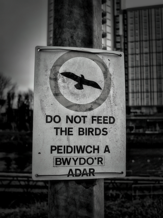 On Location for Alt.Cardiff2026