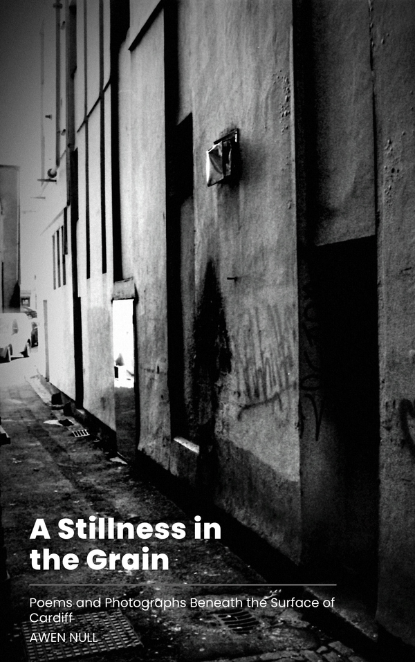 A Stillness in the Grain