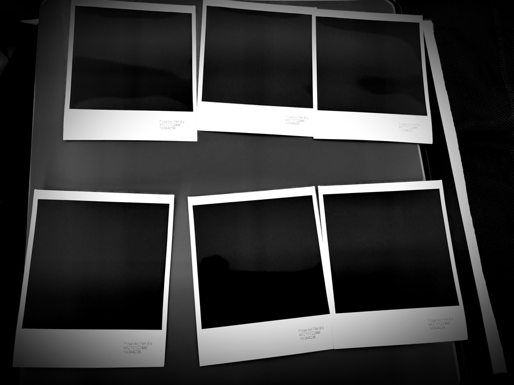 The Garden Behind the Glass: Why Art of FACELESS Built Its Own AI